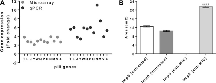 FIG 2