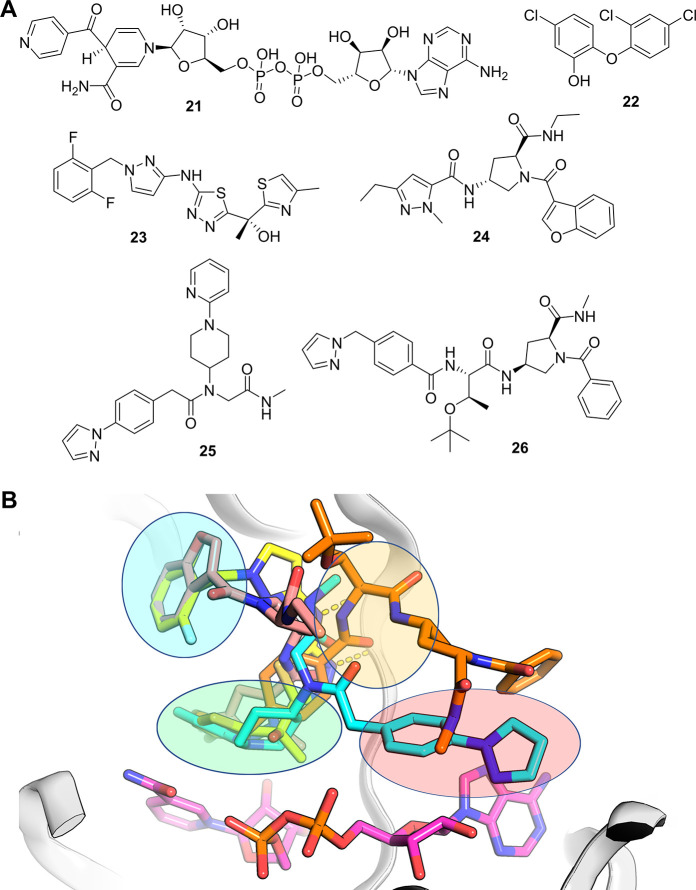 Figure 10