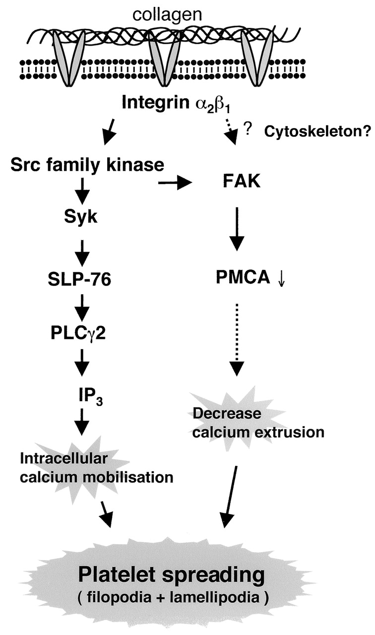 Figure 9.