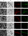 FIG 2