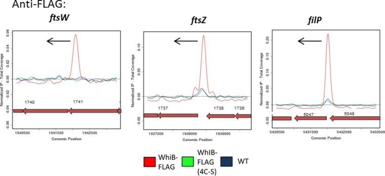 FIG 6 