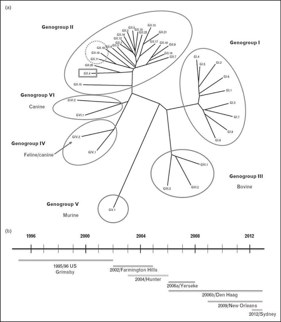 FIGURE 1