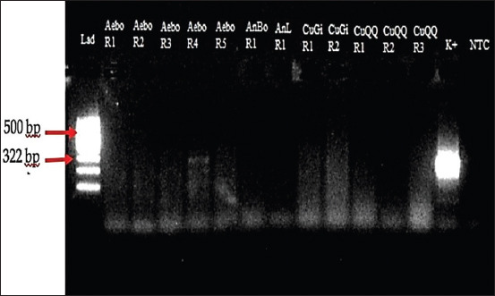 Figure-3