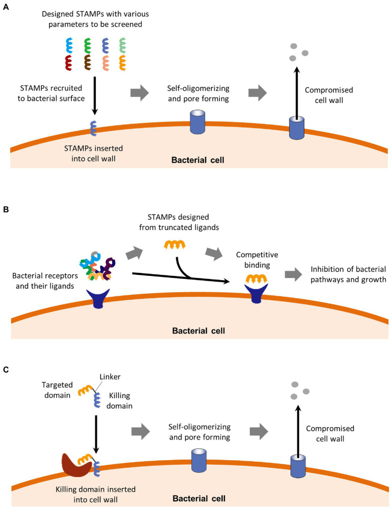 Figure 2