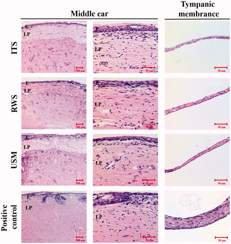 Figure 10.