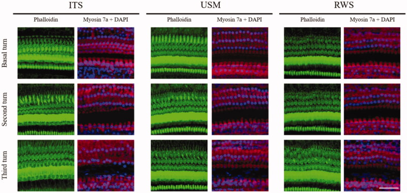 Figure 11.