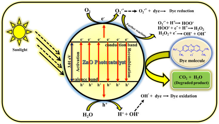 Fig. 16