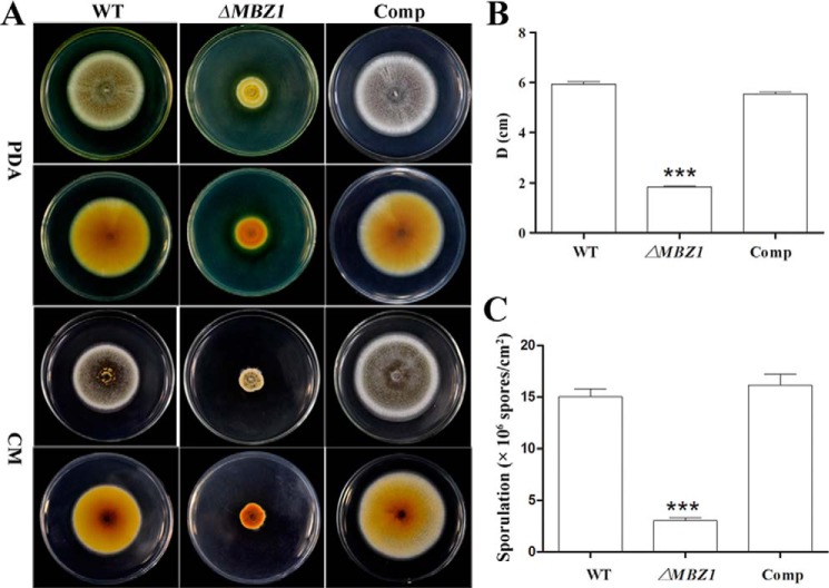 FIGURE 3.