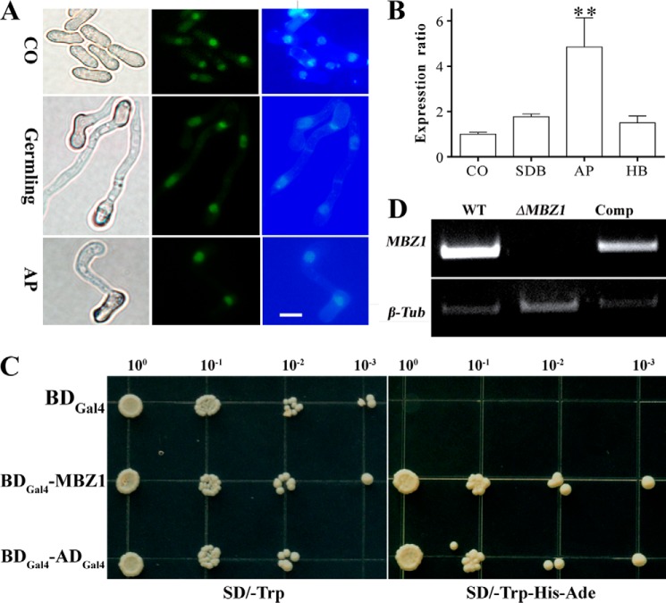 FIGURE 2.