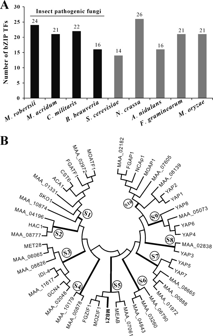 FIGURE 1.