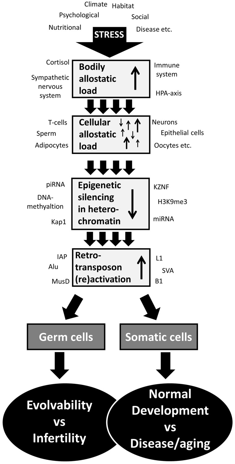 Figure 1: