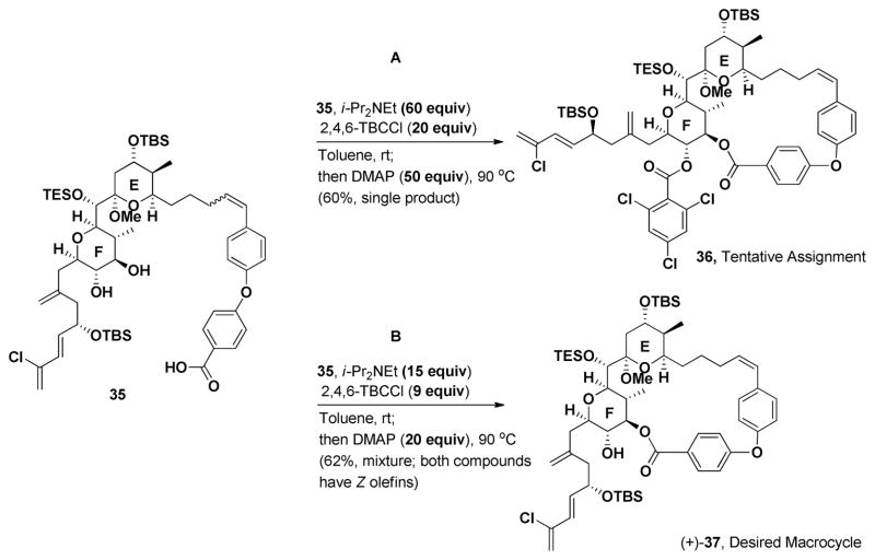 Scheme 8