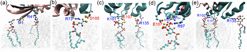 Figure 7: