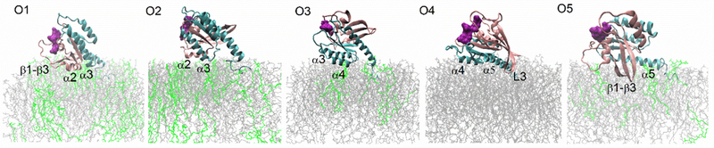 Figure 5: