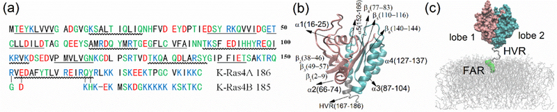 Figure 1: