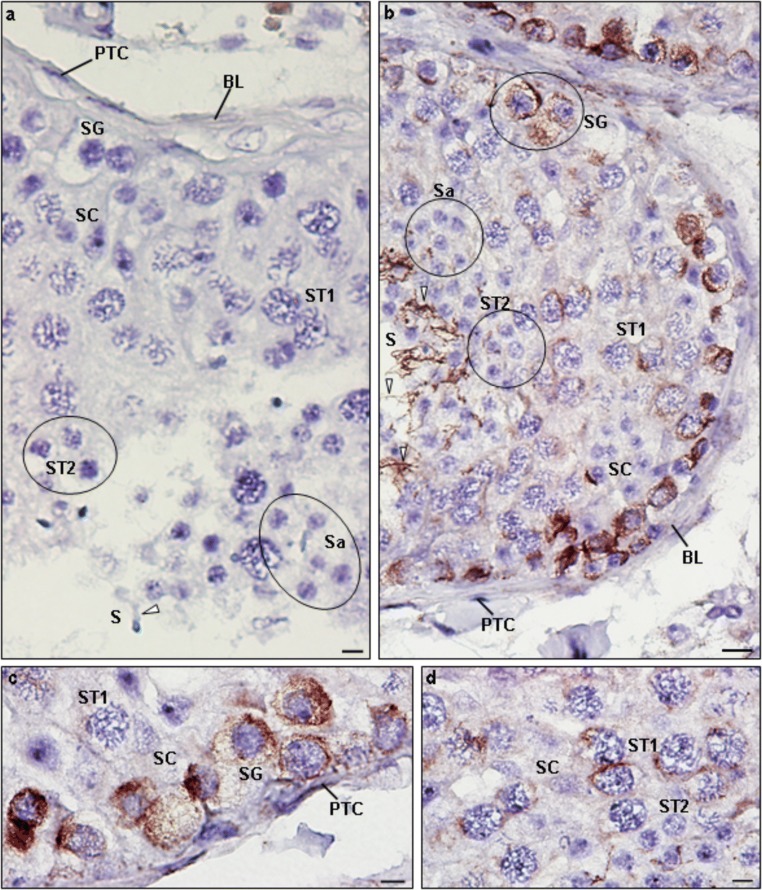 Fig. 10