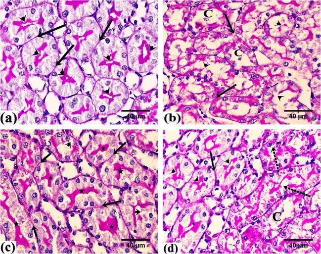 Fig. 5