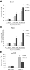 Figure 6