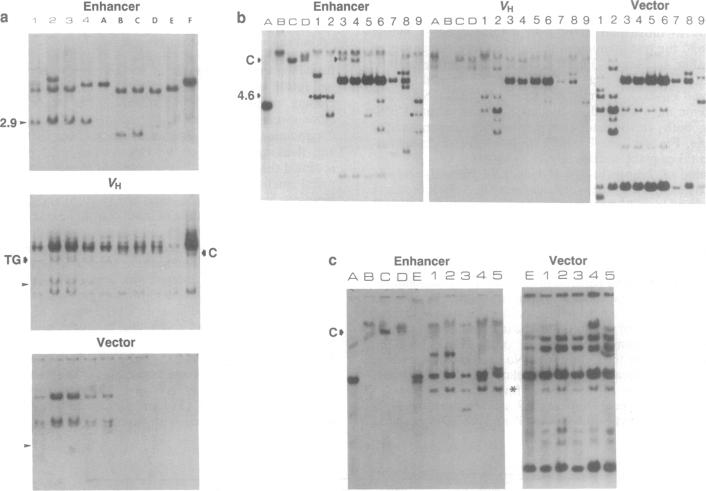 graphic file with name pnas01095-0358-a.jpg