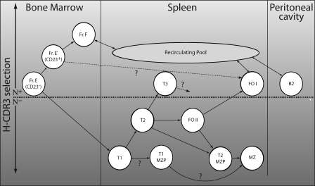 Figure 7.