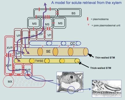 Fig. 7.