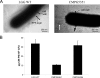 FIG. 2.