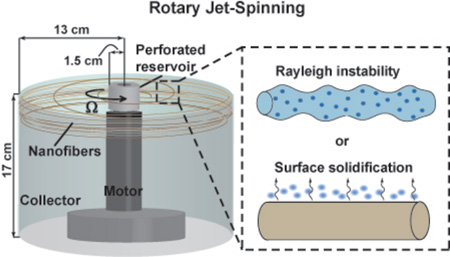 graphic file with name nihms782662f5.jpg