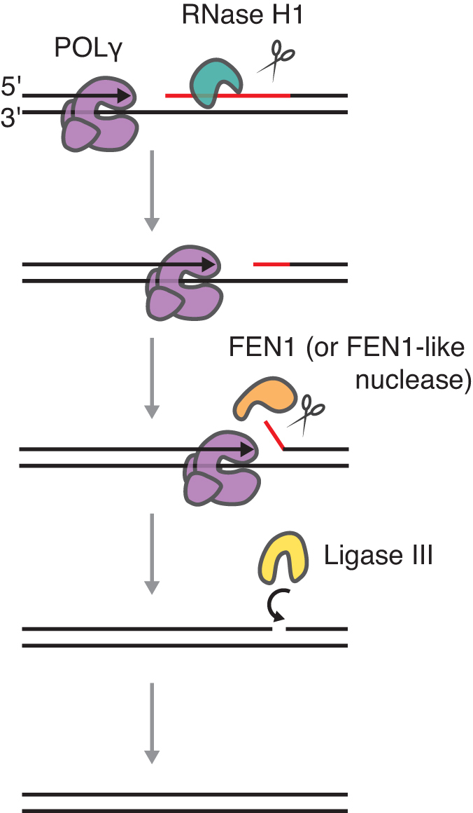 Figure 7.