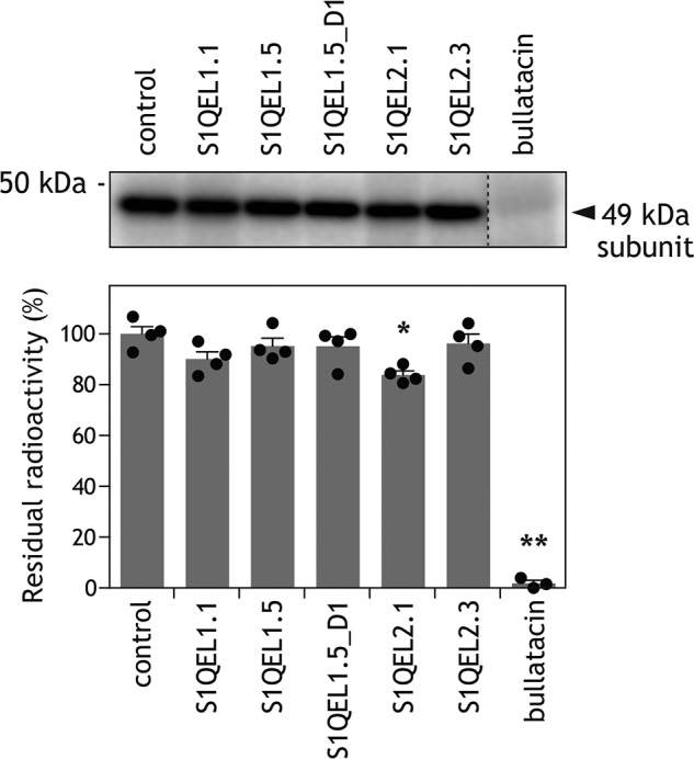 Figure 6.