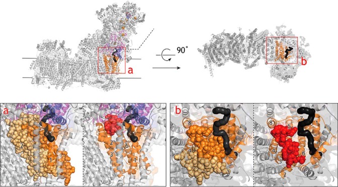 Figure 10.