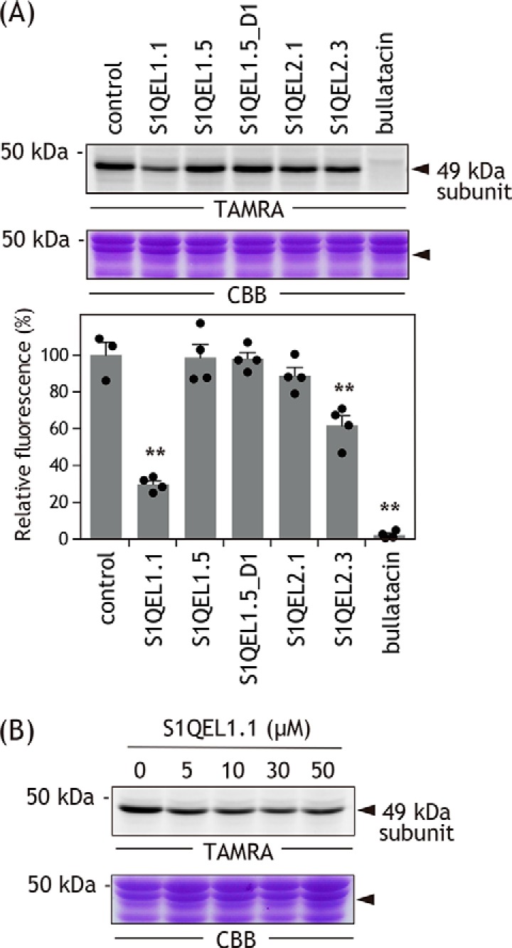 Figure 5.