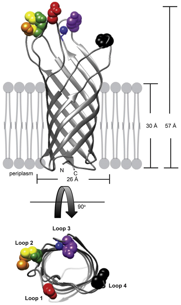 Fig. 8.