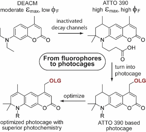 graphic file with name CHEM-28-0-g009.jpg