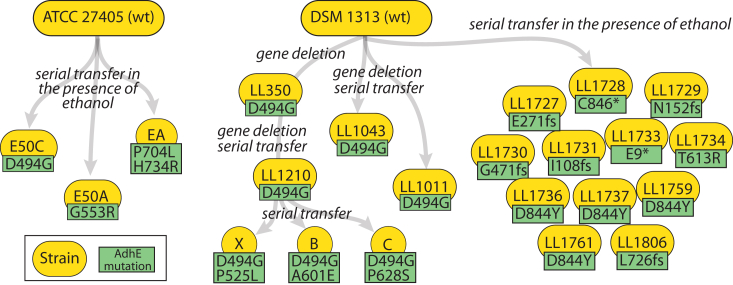 Figure 1