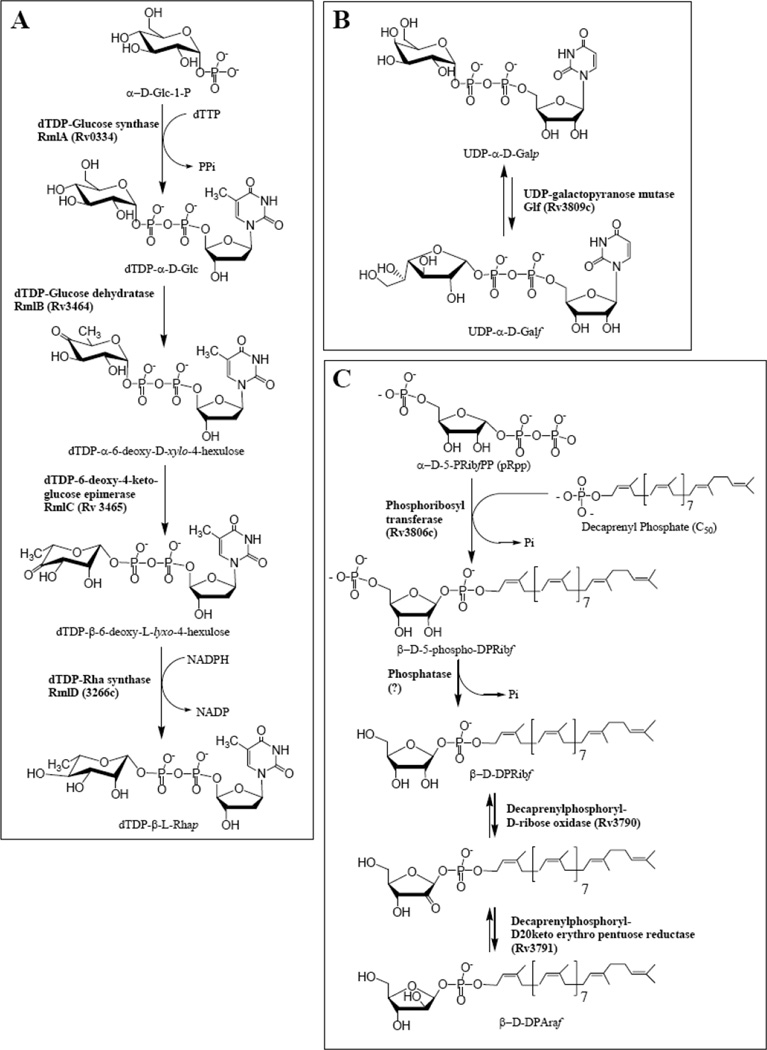 Fig 3