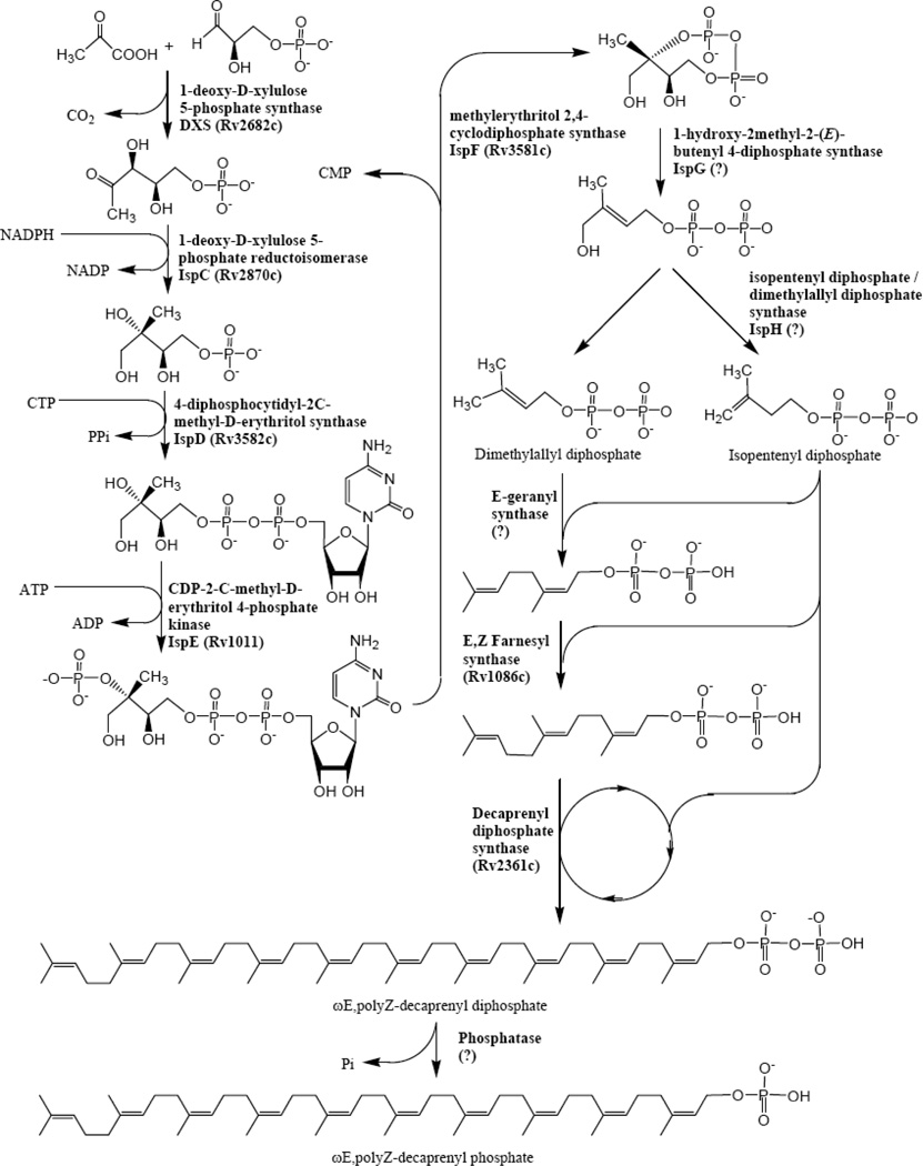 Fig 2