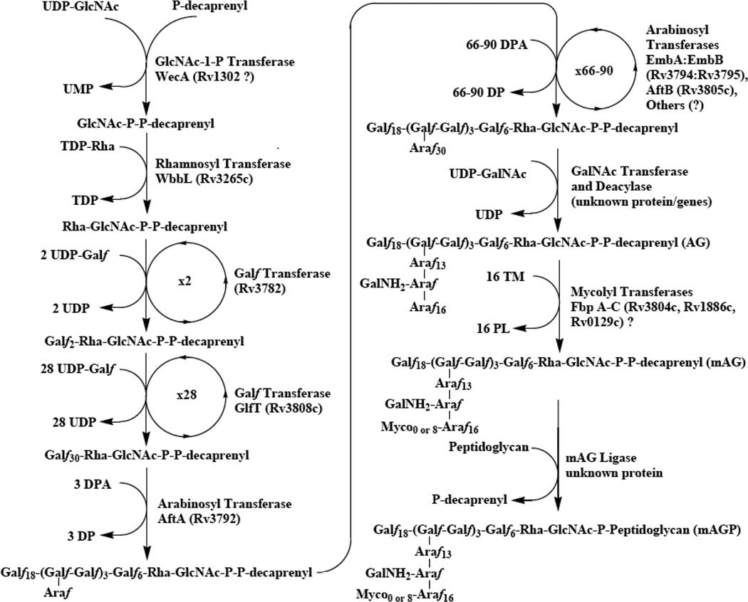 Fig 4