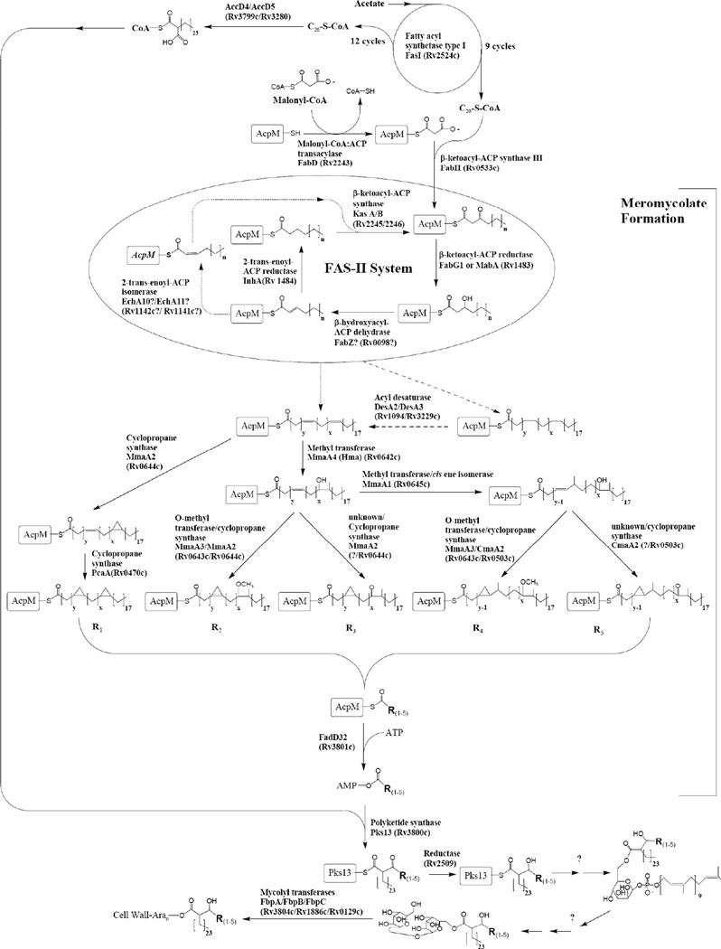 Fig 5