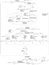 Fig 5