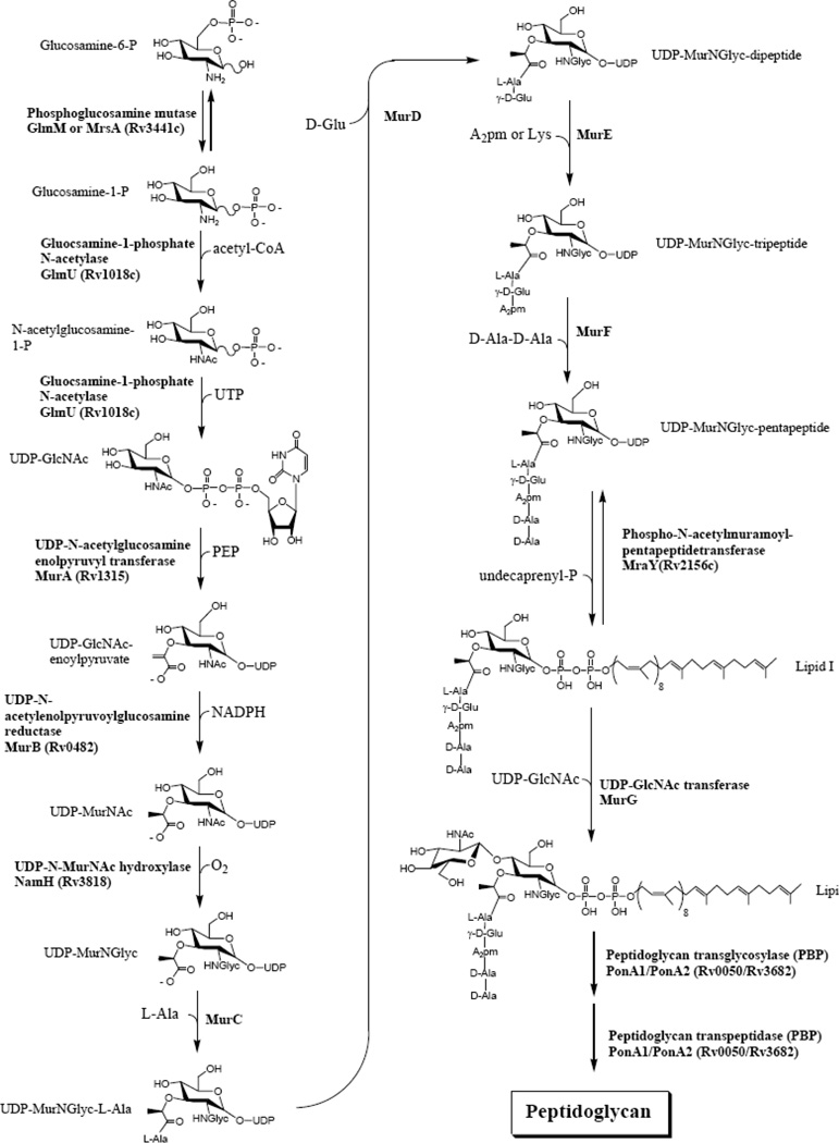 Fig 6