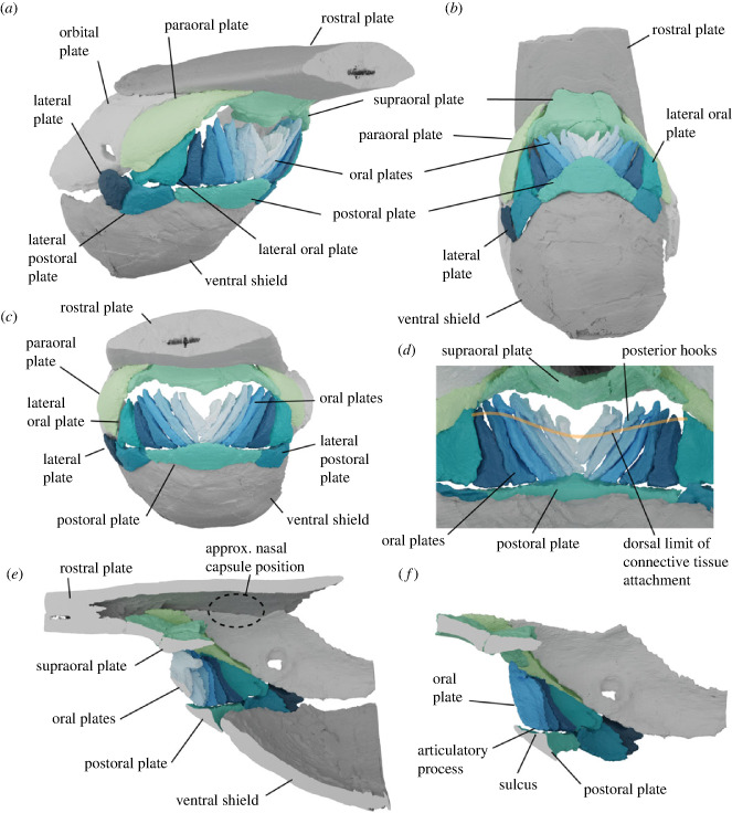 Figure 3. 