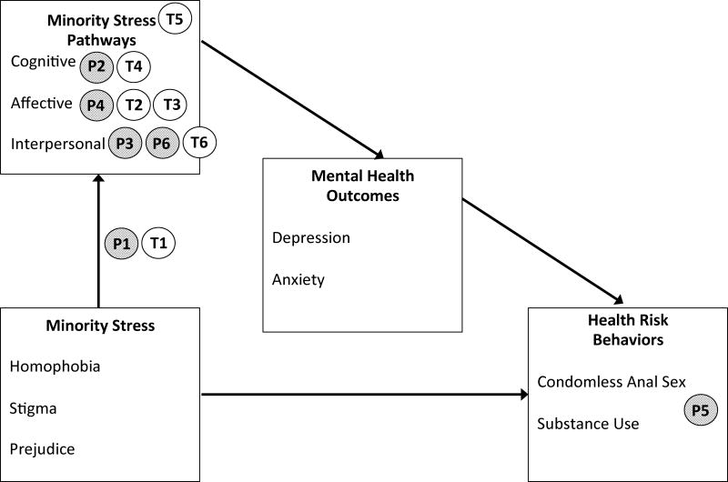 Uncovering Clinical Principles and Techniques to Address Minority ...