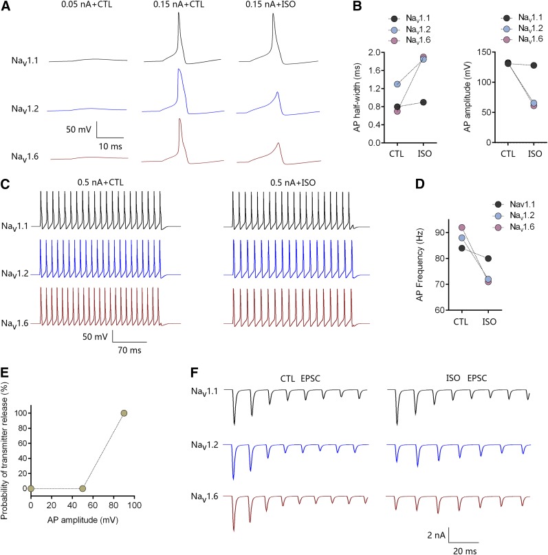 Fig. 8.