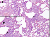 <b>Figure 4.</b>