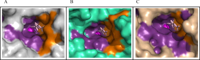 Fig. (4)