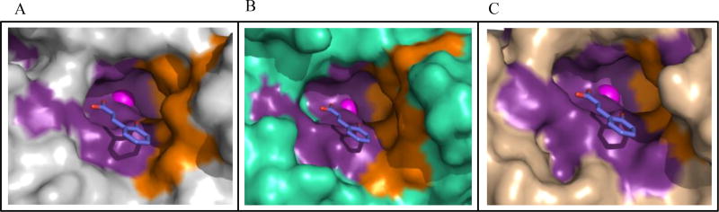 Fig. (5)