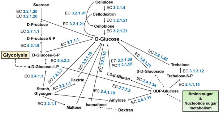 Figure 7