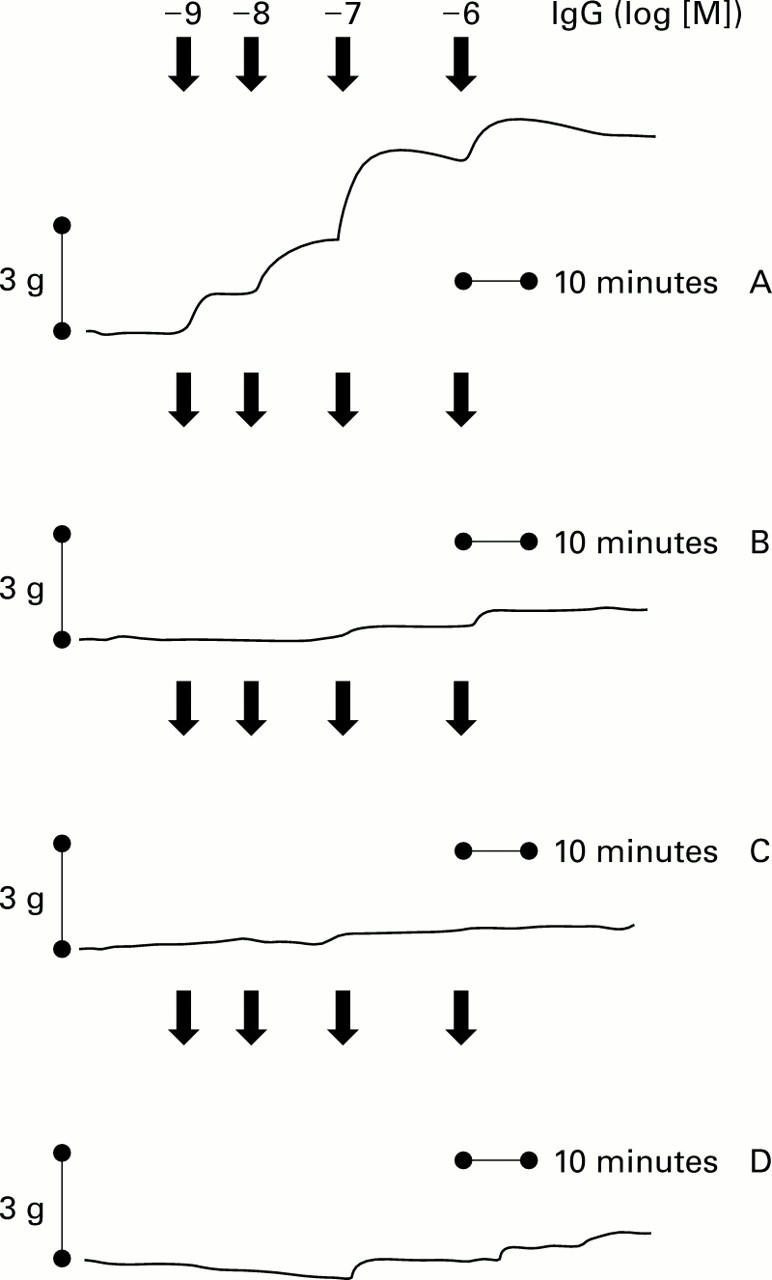 Figure 5  