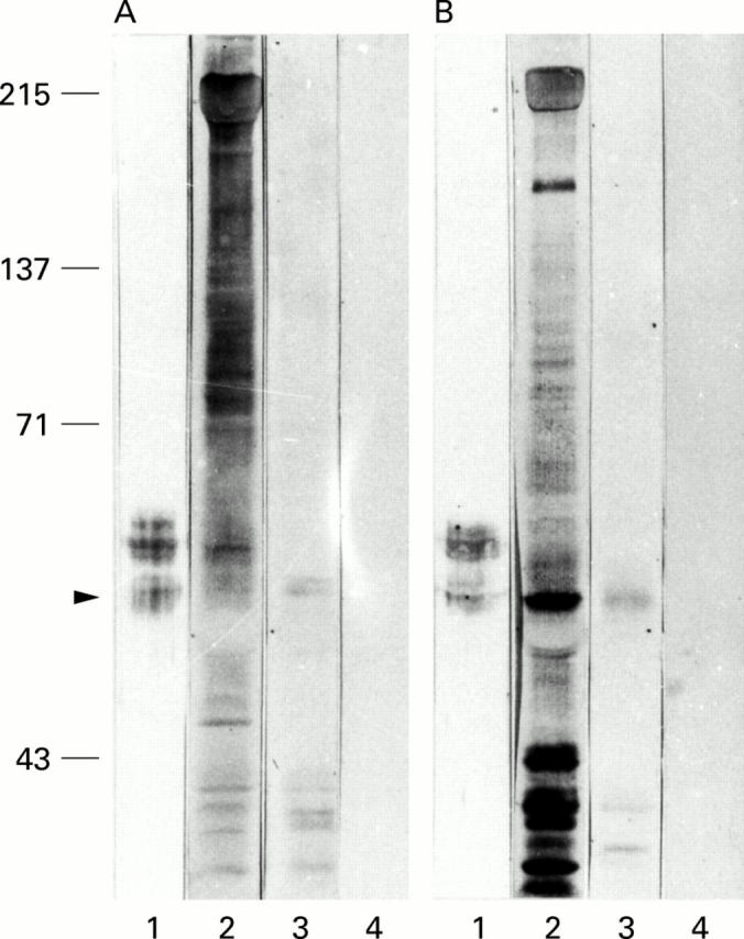 Figure 3  