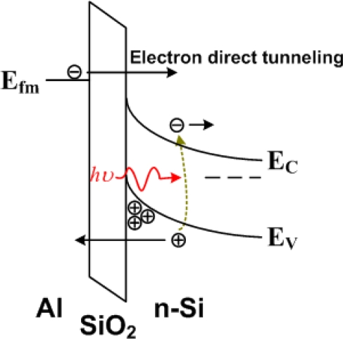 Figure 13.